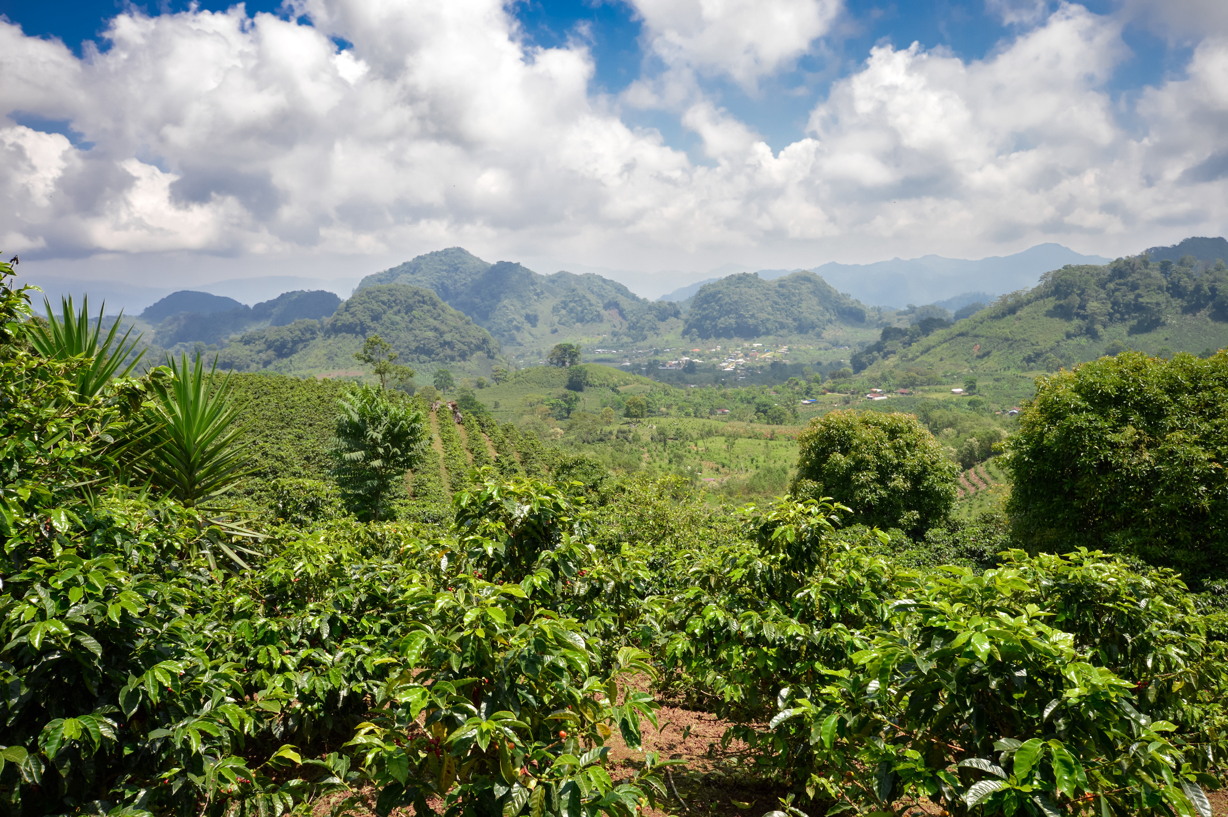 Honduras